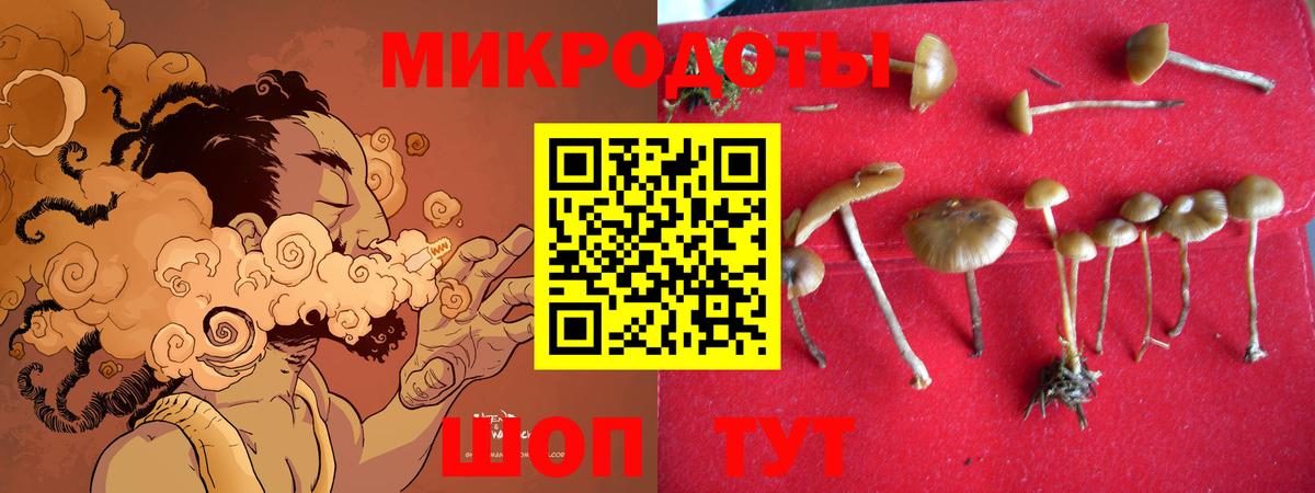 Псилоцибиновые грибы MAGIC MUSHROOMS  Вход с VPN  Галлюциногенные грибы мицелий  Павловский Посад 
