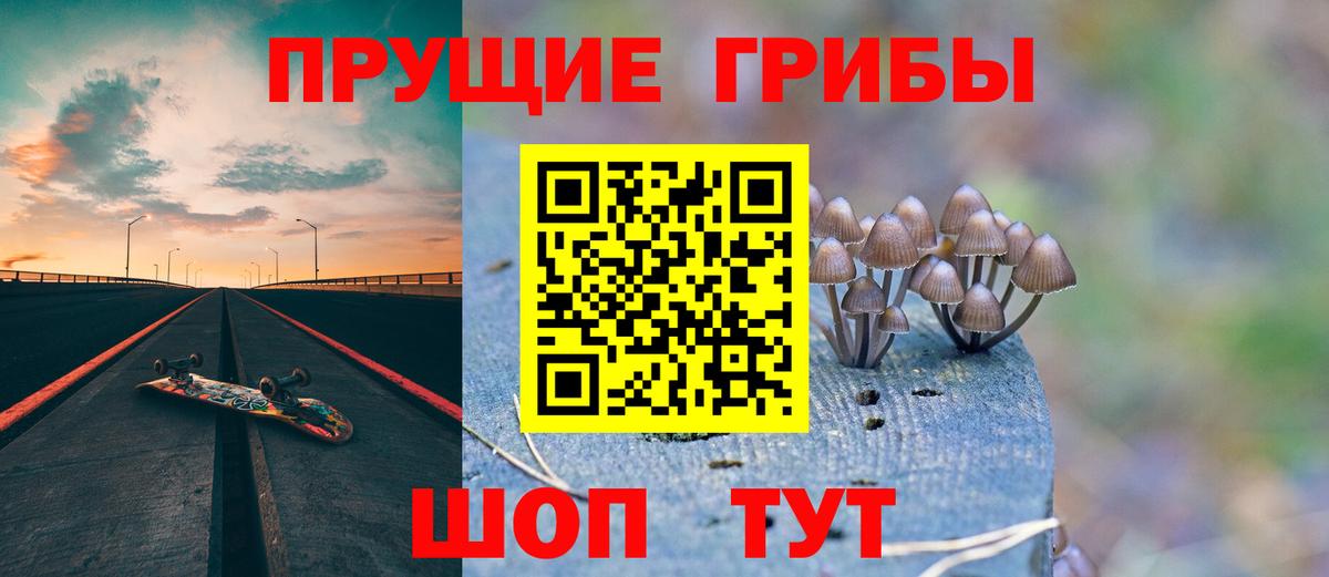 Псилоцибиновые грибы MAGIC MUSHROOMS Павловский Посад